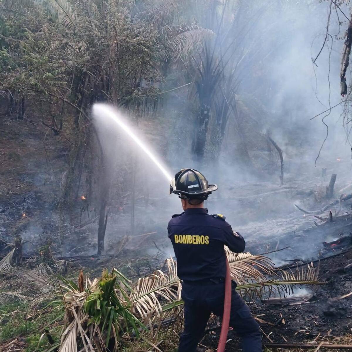 Incendio afectó una hectárea de tierra en la Dorada, Caldas