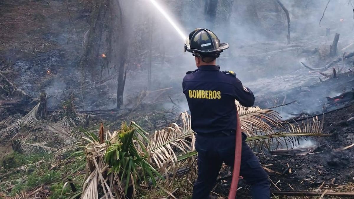 Incendio afectó una hectárea de tierra en la Dorada, Caldas