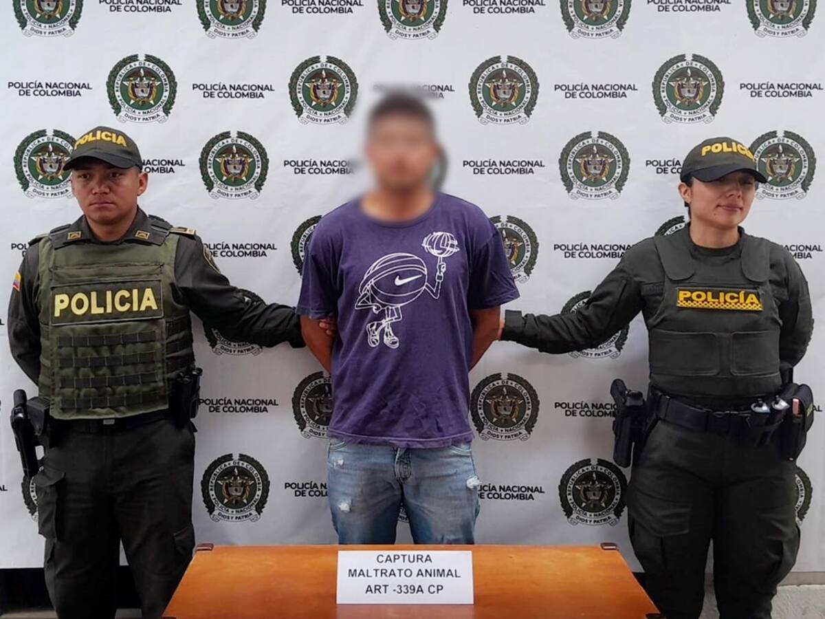 En una riña entre vecinos, un hombre mató a puñaladas a un perro en El Carmen de Viboral