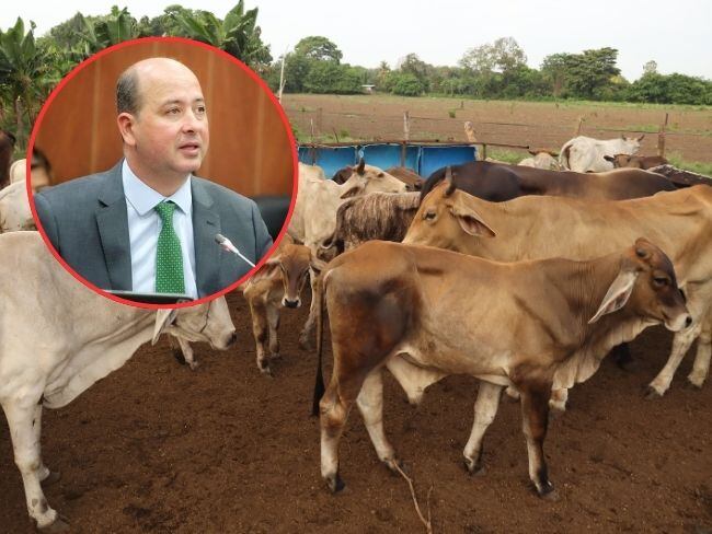 El senador Marcos Daniel Pineda criticó al ICA por fallas en licencias de movilización de ganado.