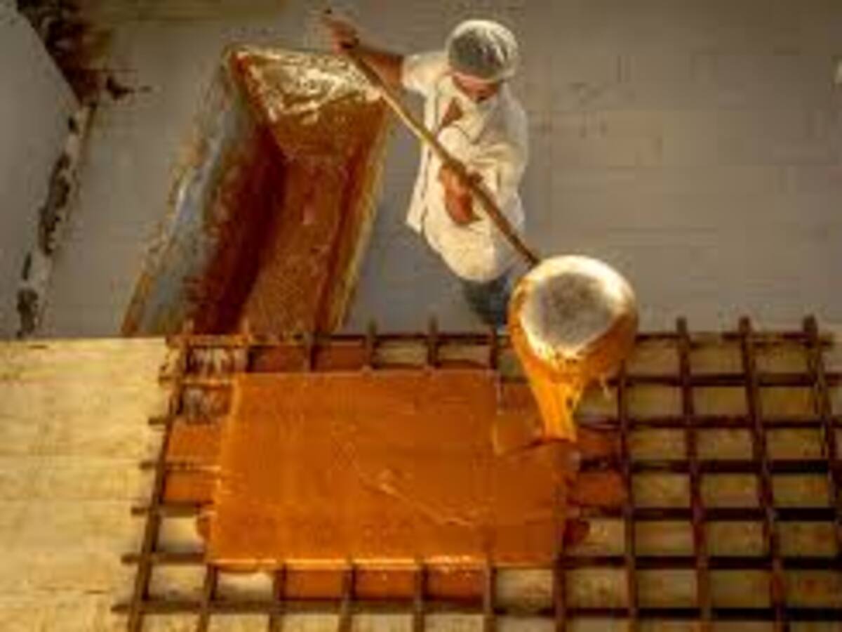 Fue admitida Acción Popular contra Fedepanela y QUALA S.A.