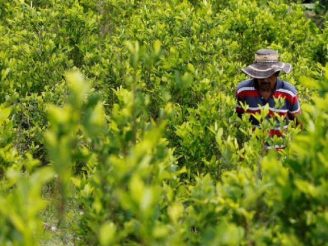 Reunión del alto gobierno con cocaleros del Catatumbo