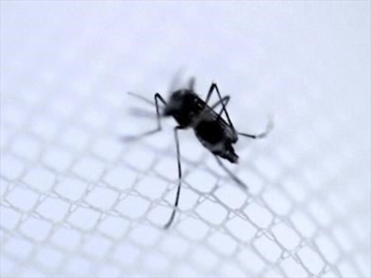 Muere niña que tenía virus de chikungunya en Sucre