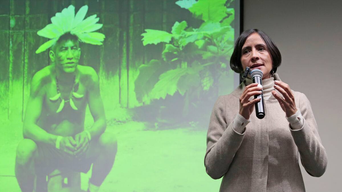 Denunciaremos a la minambiente por incumplir el Acuerdo Escazú con comunidades: Asomineros