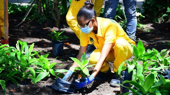 Los interesados podrán inscribirse sin costo en los talleres de Albañilería, Carpintería, Jardinería y Pintura.