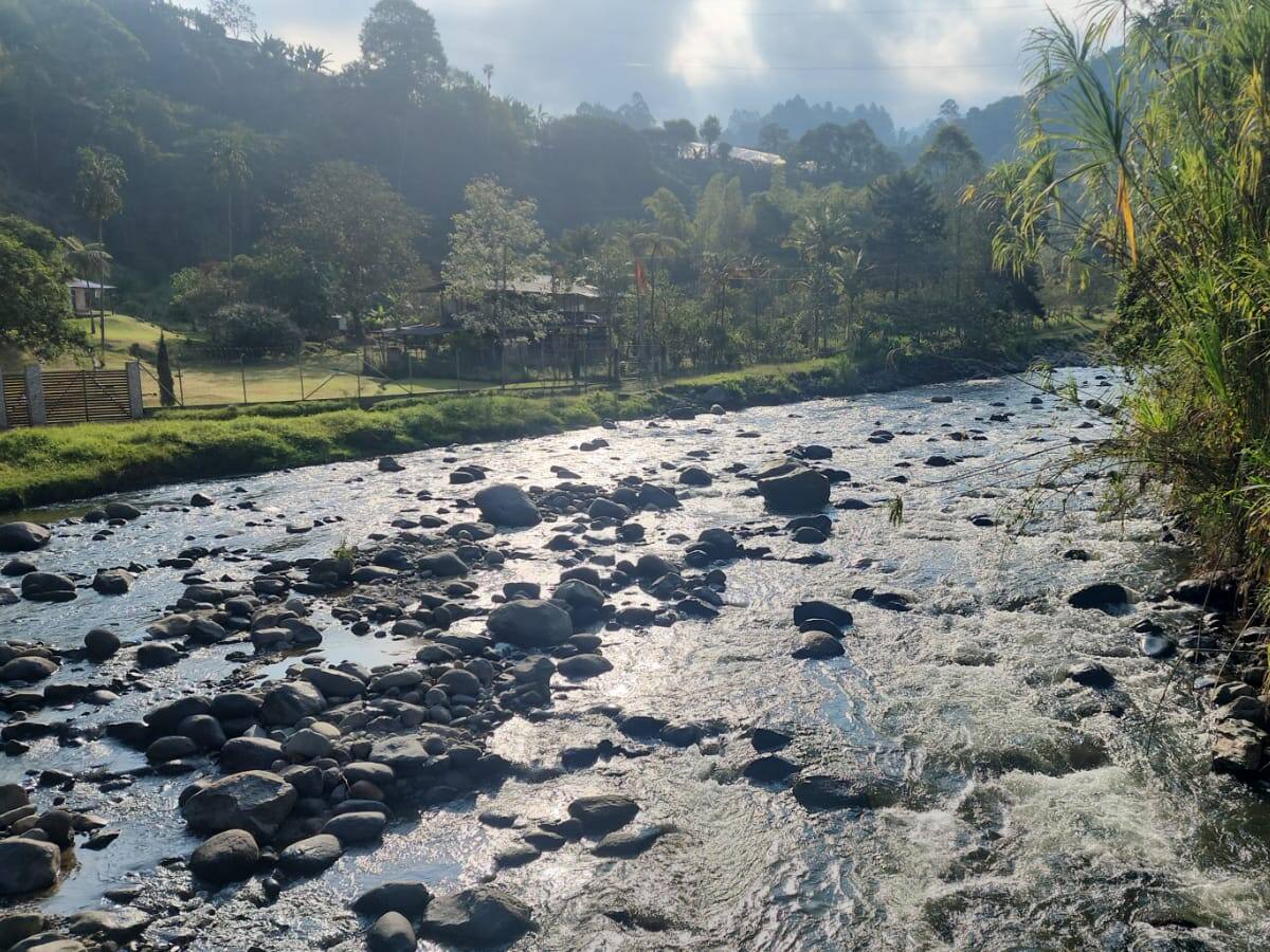 En Salento y Circasia hay disminución considerable de caudales de ríos y quebradas: CRQ