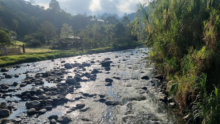 Jaider Lopera, director CRQ, Quindío
