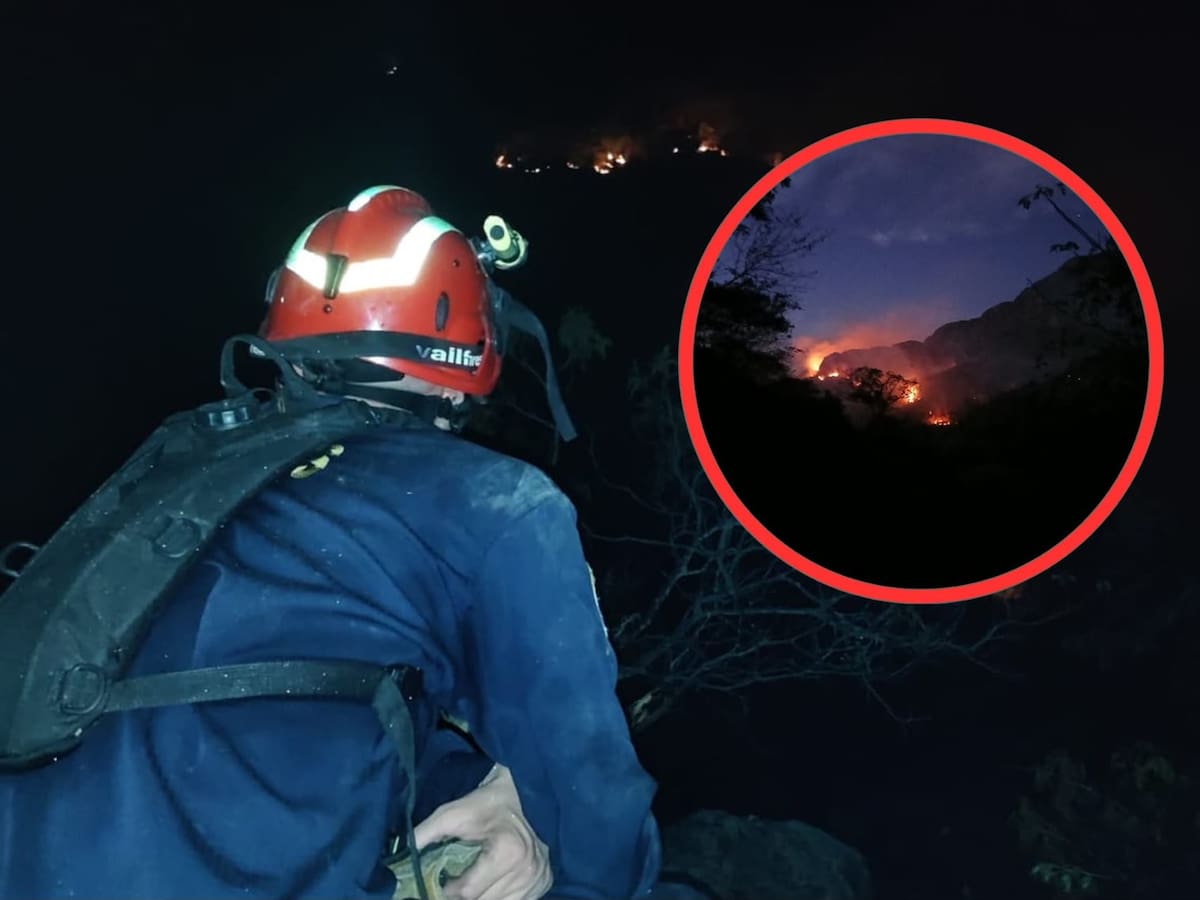 Incendio forestal activo arrasa con más de 15 hectáreas de vegetación en Ibagué