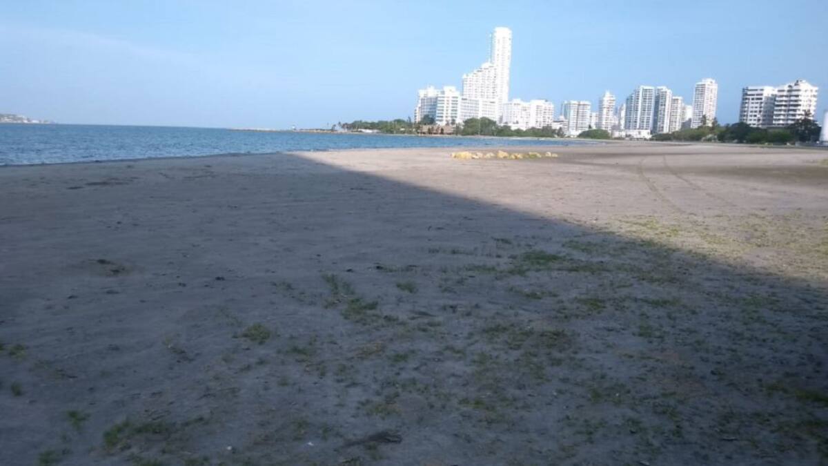 Alistan plan piloto para reabrir playas en el país