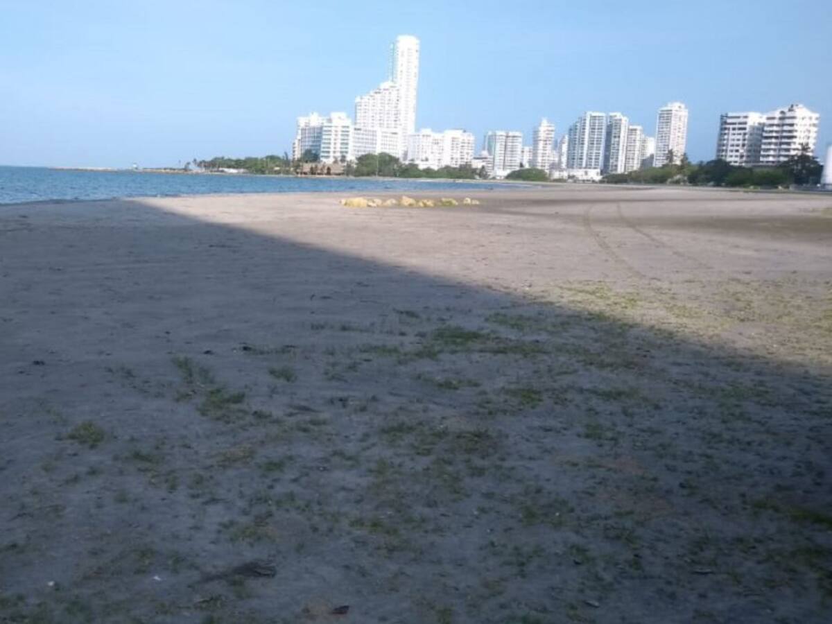 Alistan plan piloto para reabrir playas en el país