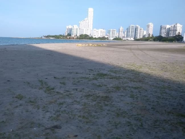 Para reactivar playas de Cartagena se debe garantizar uso: Procuraduría