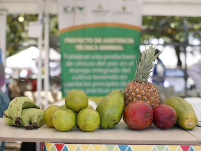 Con 40 productores, realizarán en Cartagena el primer Mercado campesino
