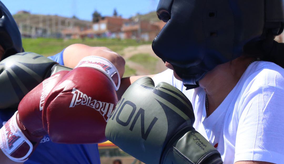 Imagen de referencia