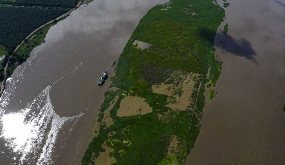 Isla Tamarindo, Salamina