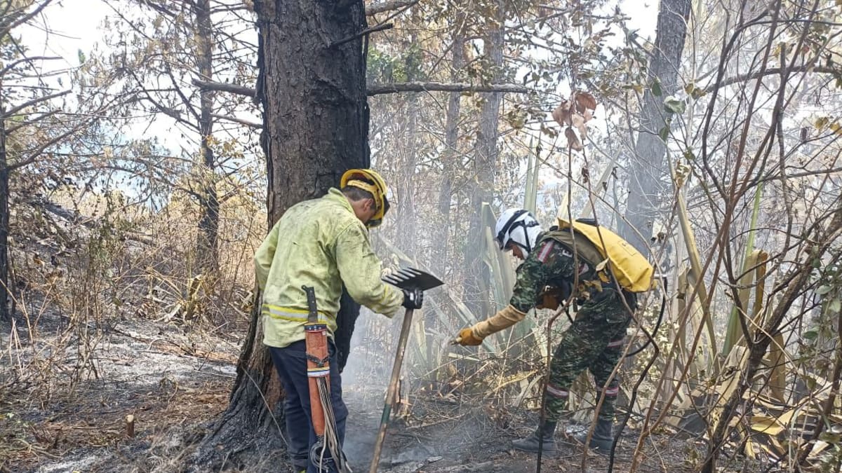 Continúan puntos calientes de incendio forestal en Yumbo que completa cuatro días