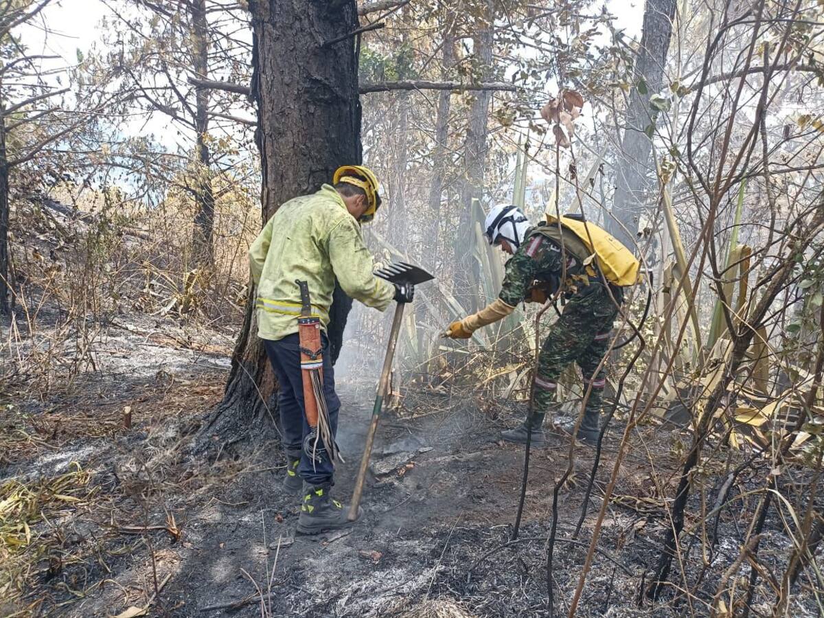 Continúan puntos calientes de incendio forestal en Yumbo que completa cuatro días
