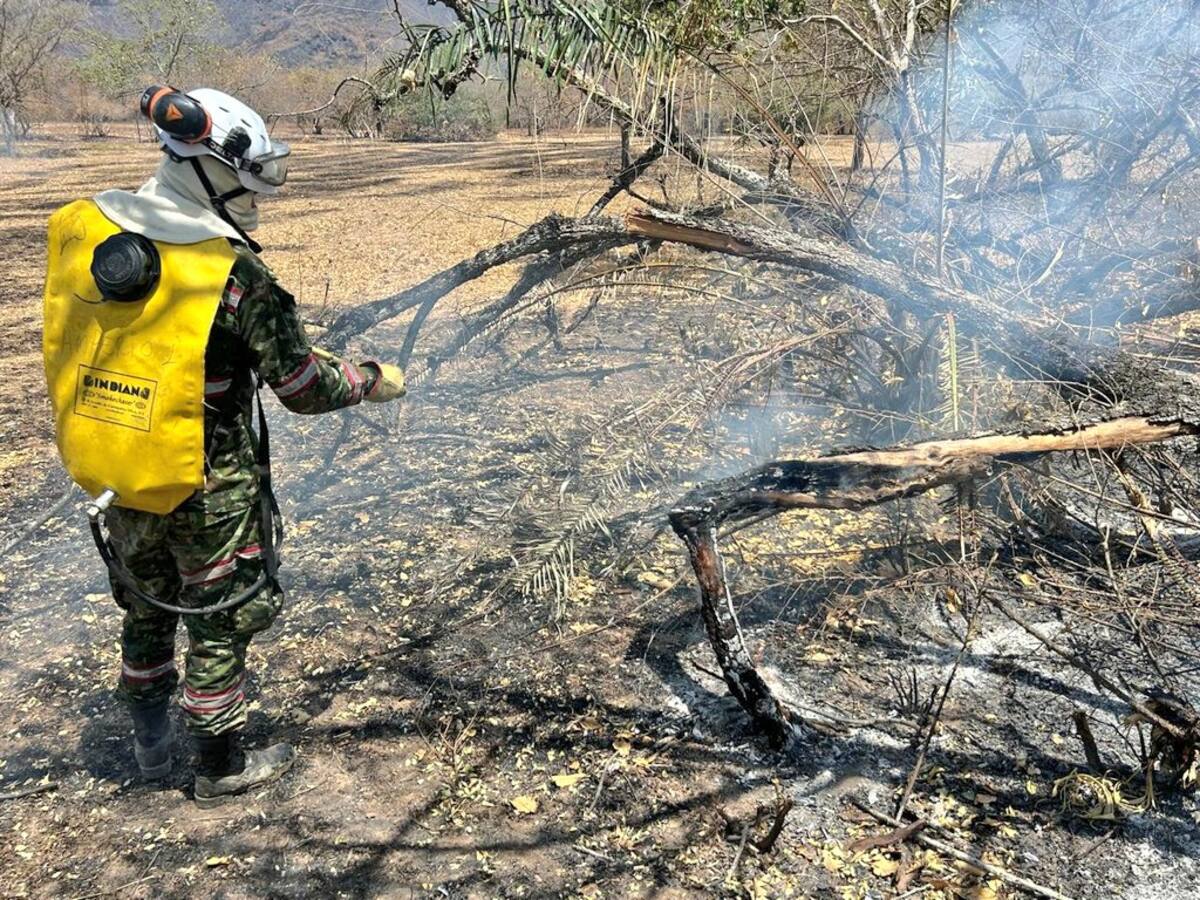 Tras 19 días de emergencia, se logró controlar incendio forestal en Natagaima, Tolima
