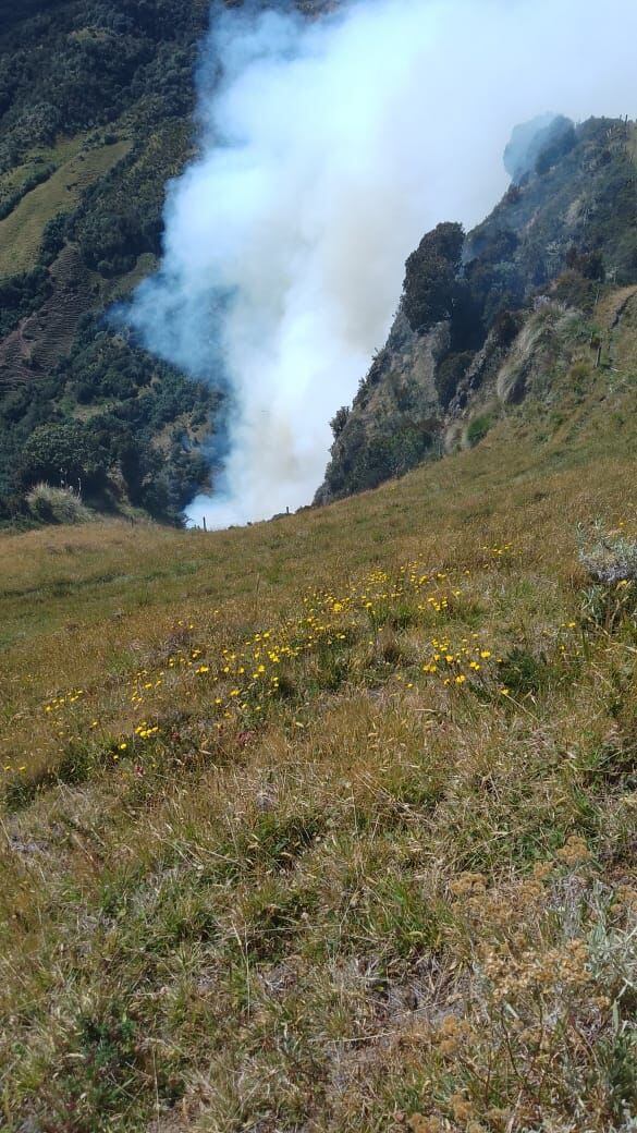 Incendio en el Parque Nacional Natural de los Nevados