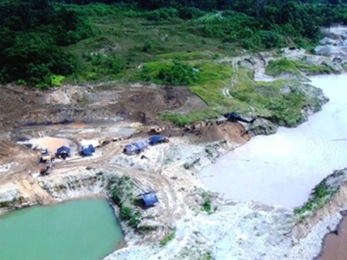 Así arrasa la minería mil hectáreas de bosque del Chocó cada año
