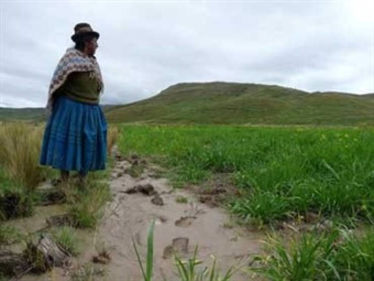 No condonarán deuda a agricultores afectados por invierno