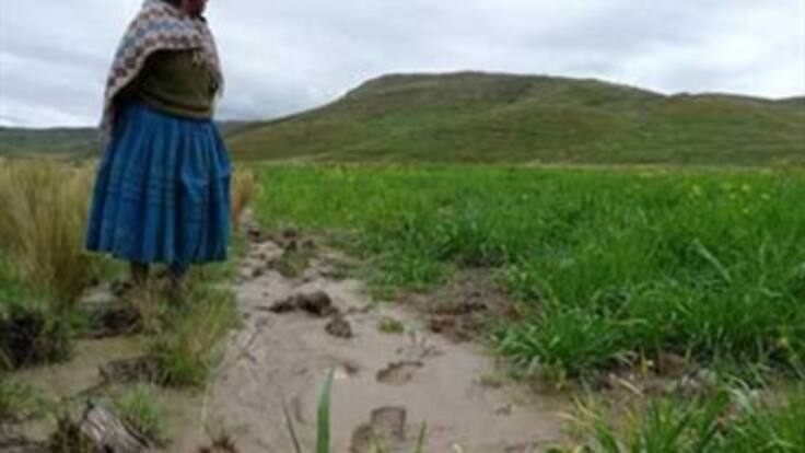 No condonarán deuda a agricultores afectados por invierno