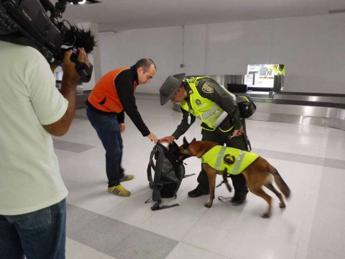 "Karim" el perro que evita el tráfico de fauna silvestre en el Valle