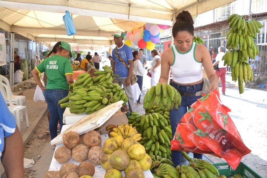 Alcaldía de Cartagena