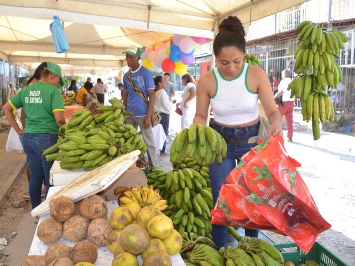 PES- Pedro Romero realizó último mercado campesino en San José de los Campanos