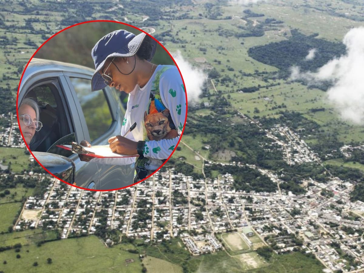 En el marco de la Semana Santa se incautaron más de 340 animales silvestres en operativos en Urabá