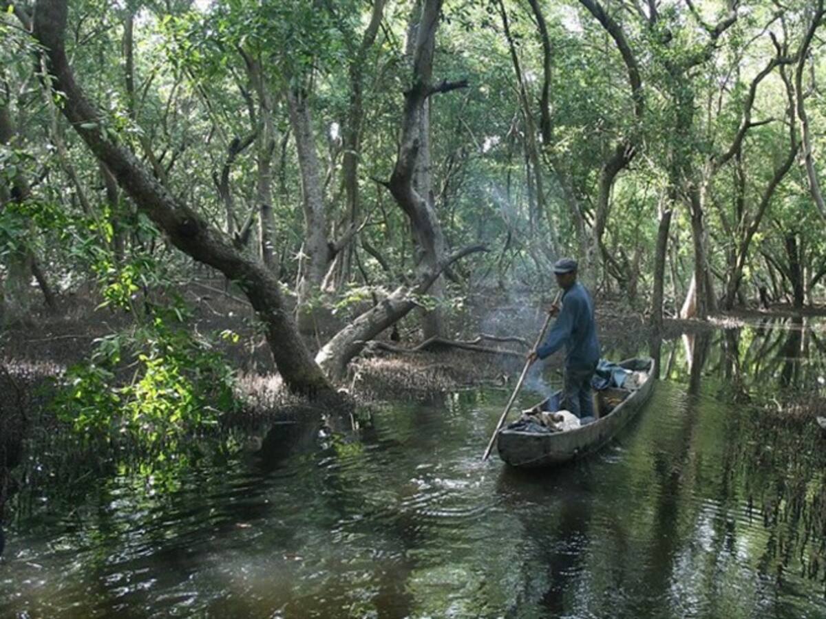 Día Mundial de los Humedales HOY: conozca su importancia para la biodiversidad y la salud humana