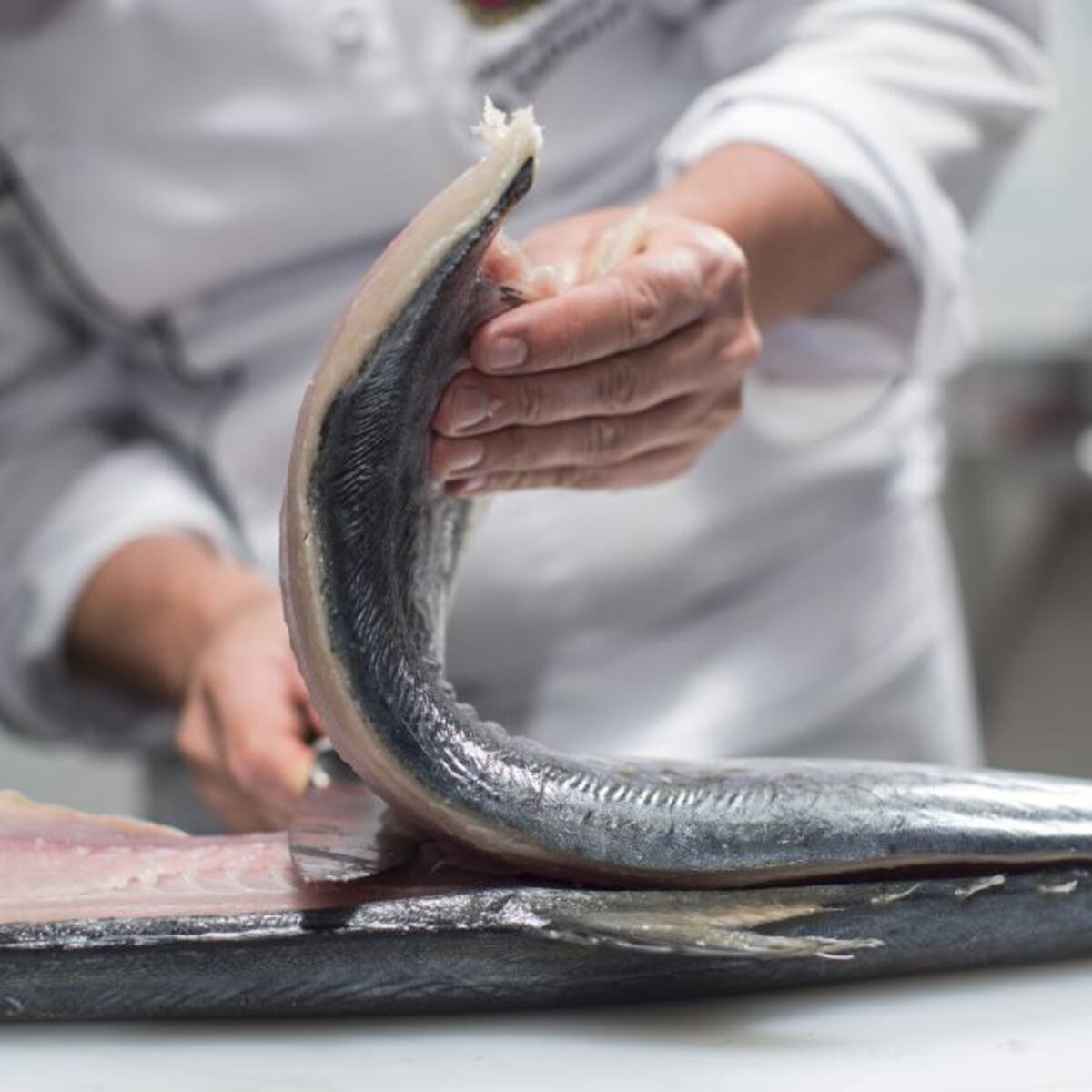 ¿Sabemos los colombianos preparar pescado?