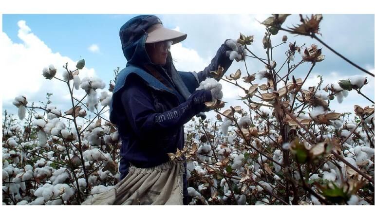 El "Ser" en lo laboral