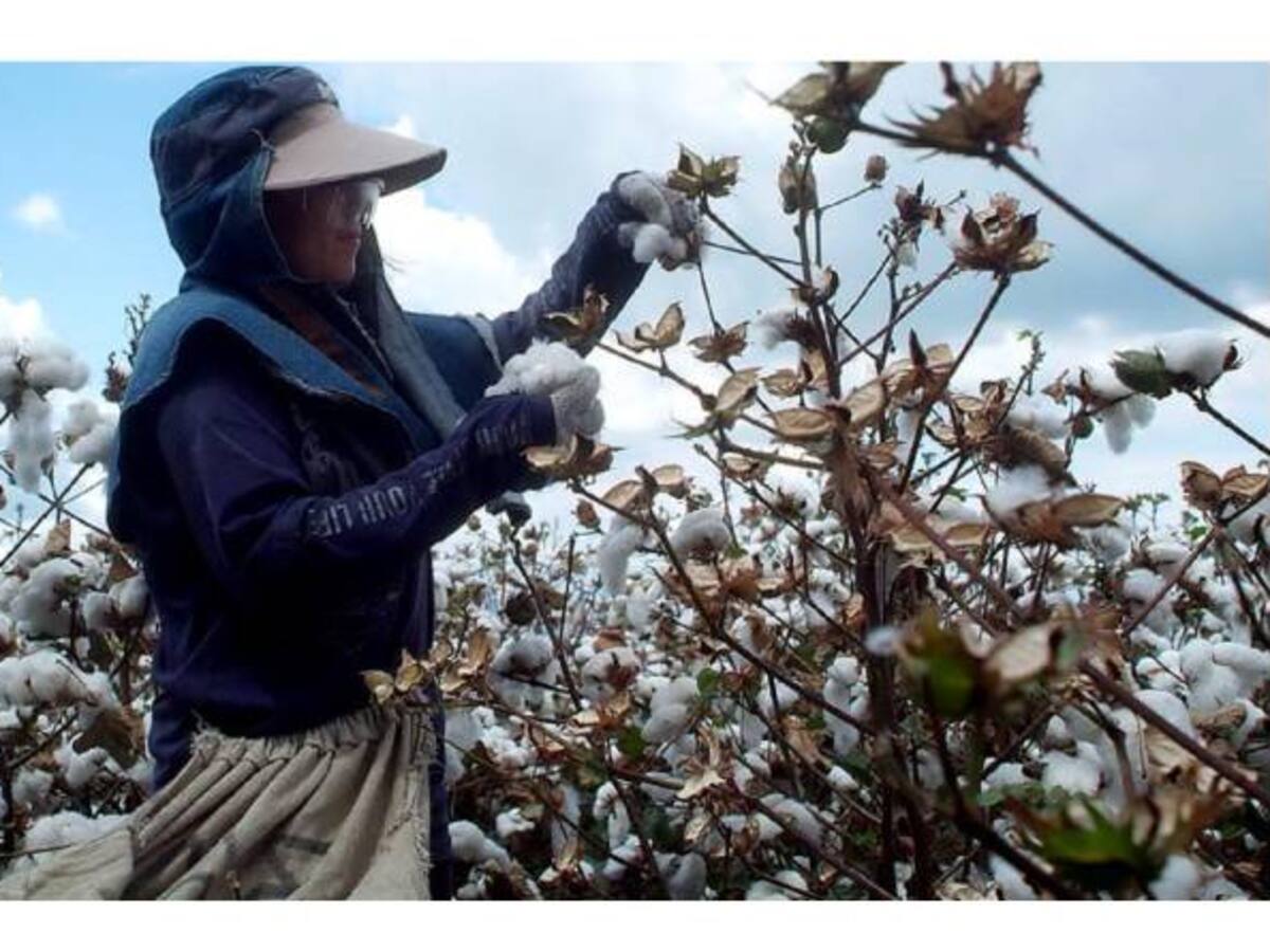 Concurso latinoamericano de Fotografía documental “Los trabajos y los días”