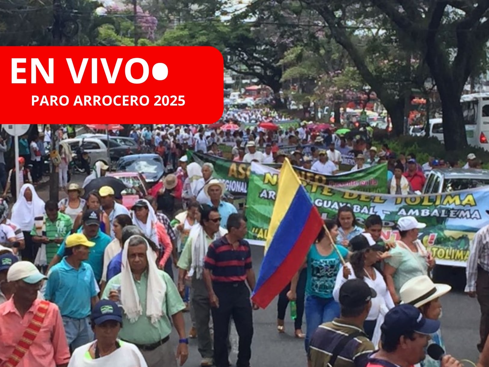 EN VIVO segundo día paro arrocero 2025