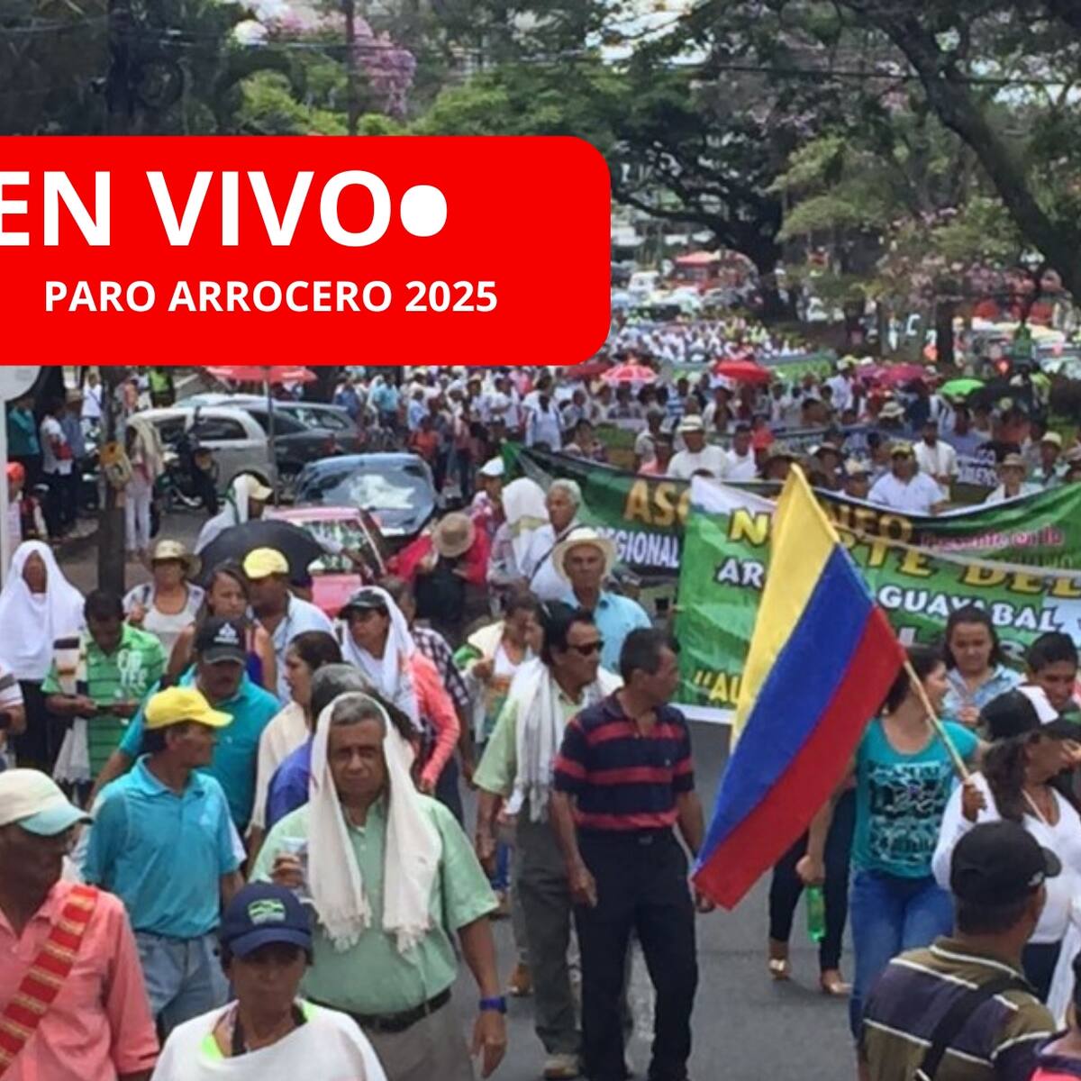 Paro Arrocero EN VIVO: bloqueos, cierres viales y novedades del orden público