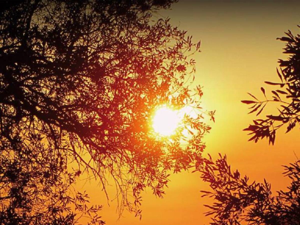 Cali registra temperaturas entre los 32 y 34 grados