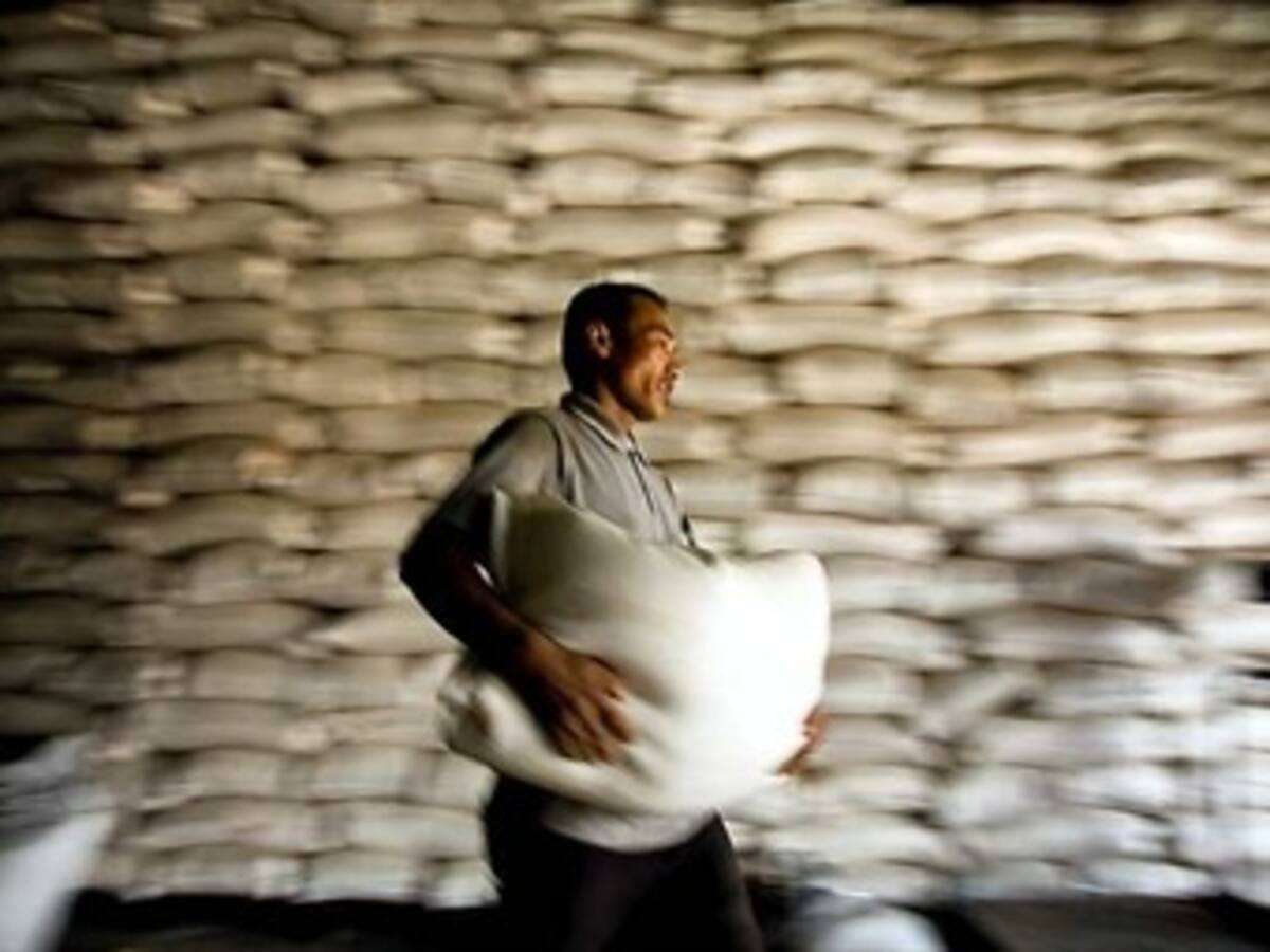 Gobierno fija precios mínimos para la compra de arroz