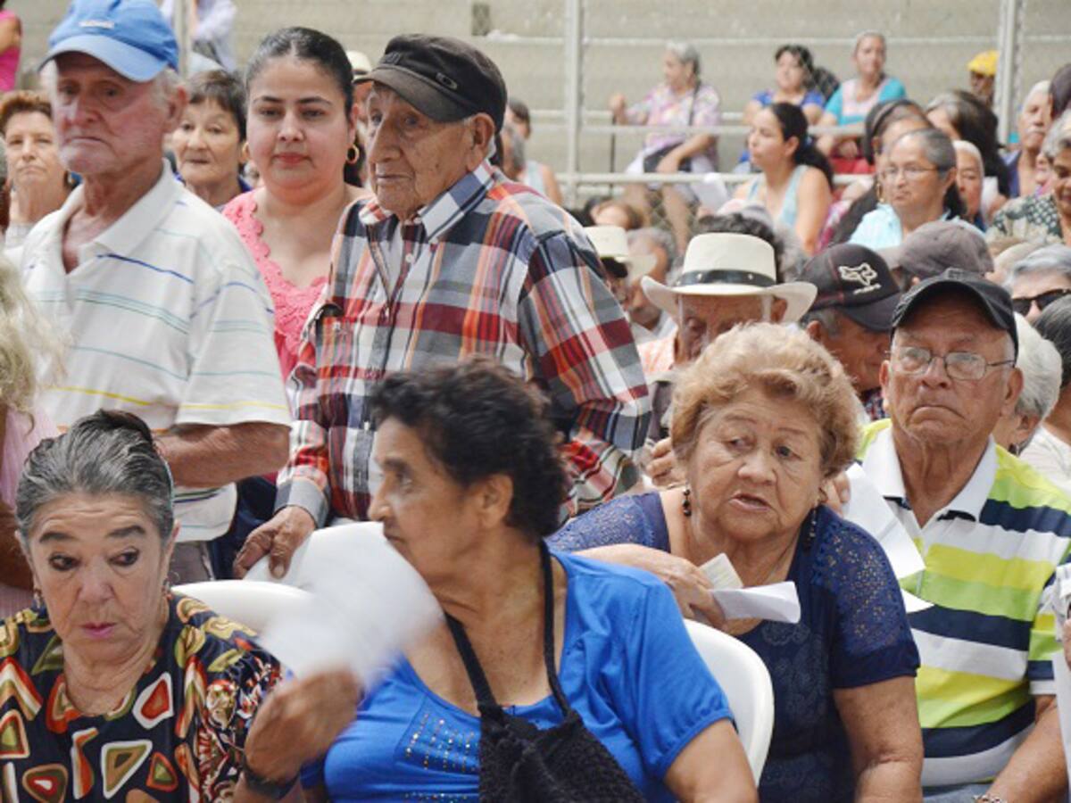 ¿Cómo avanza el proceso para pago de subsidios de Colombia Mayor en Quindío?