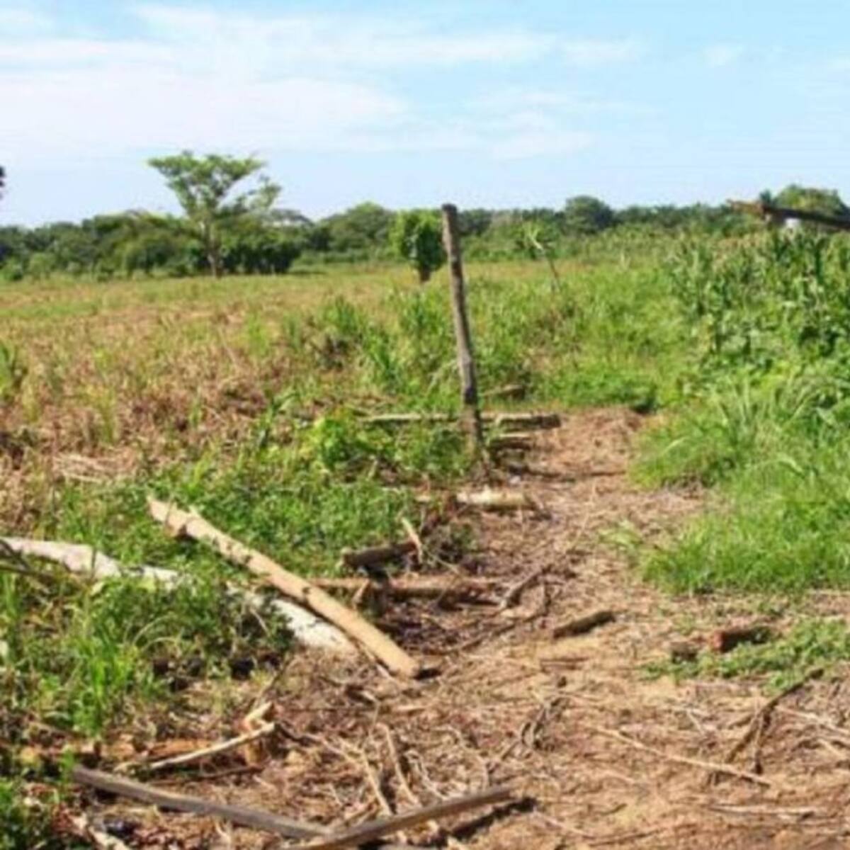Agricultores del Huila recibirán ayudas por ola invernal