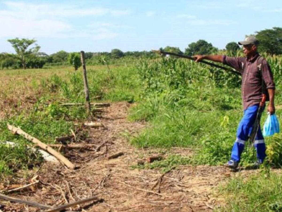 Agricultores del Huila recibirán ayudas por ola invernal