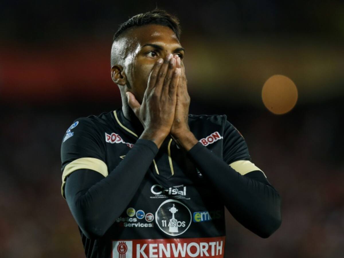 Francisco Maturana desmiente actos de indisciplina de Johan Arango