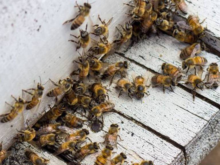 Foto: archivo Caracol Radio.