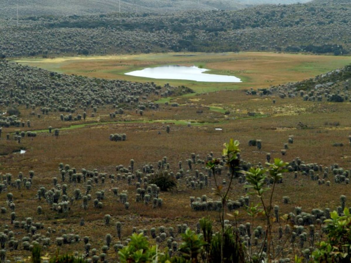 CAR advierte sobre malas prácticas ecológicas en el Páramo de Sumapaz