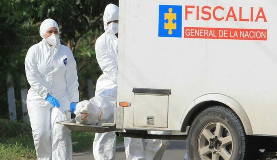 Imagen de referencia.