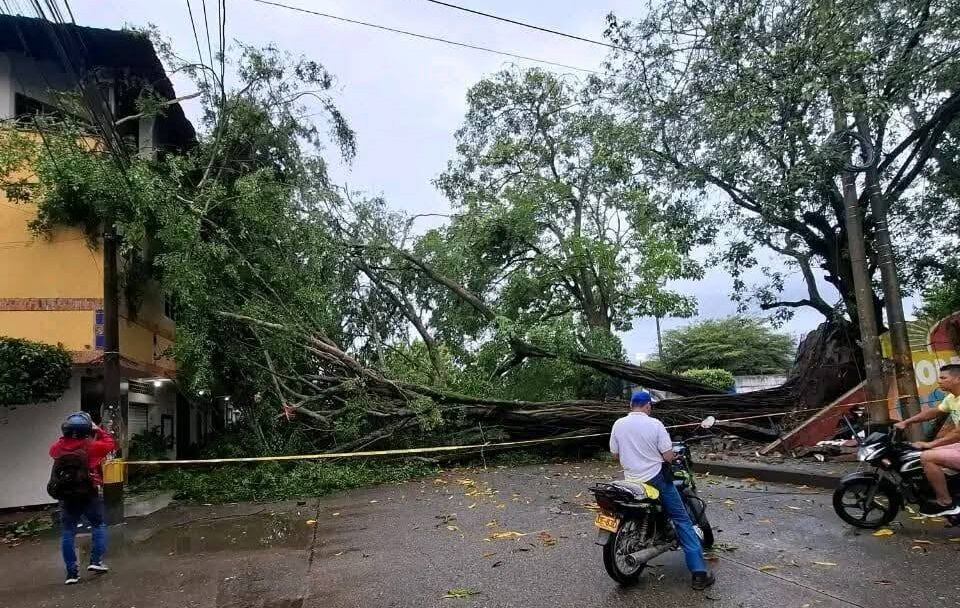 Vendaval en Montelíbano, Córdoba.