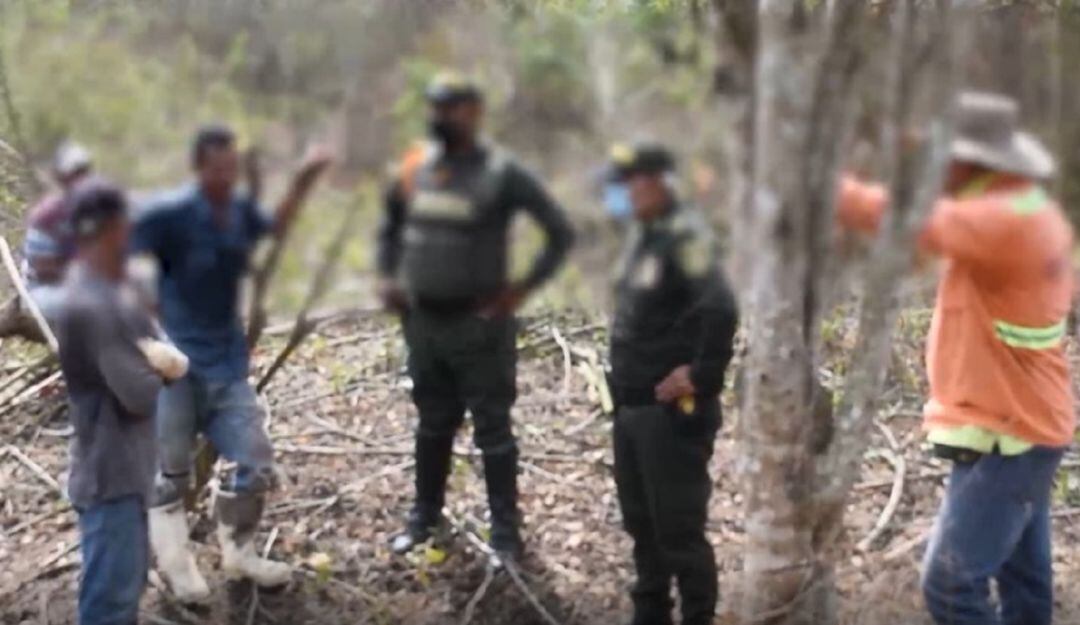 Los capturados fueron sorprendidos en flagrancia mientras realizaban la deforestación y tala de árboles nativos de la región.