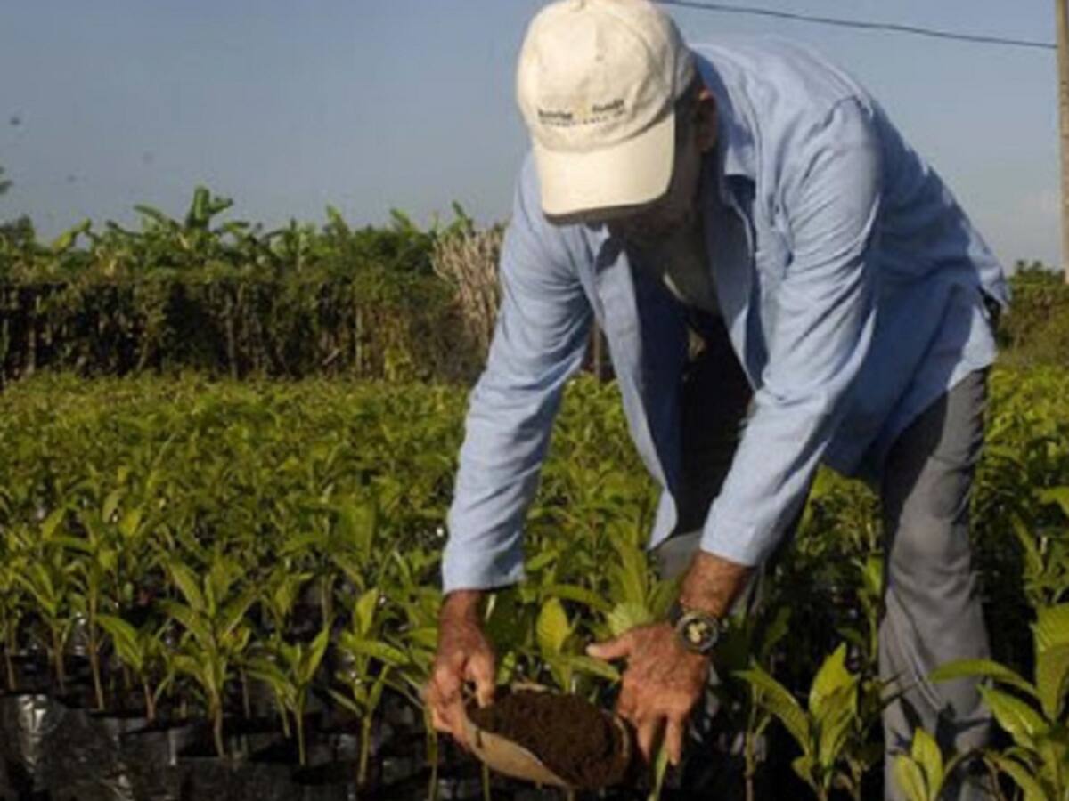 Campesinos buscan reactivar sus economías en Norte de Santander