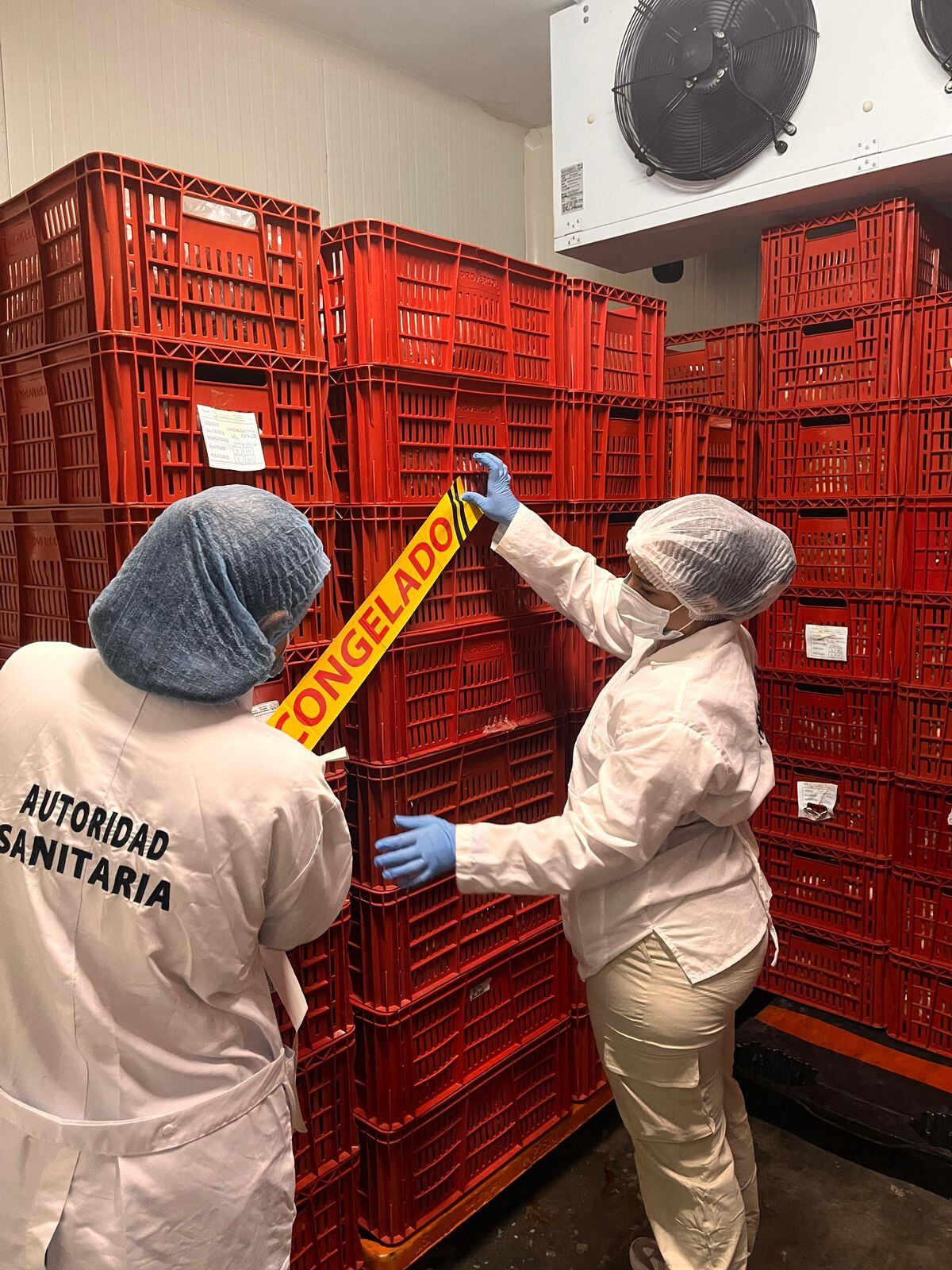 La carne fue destruida