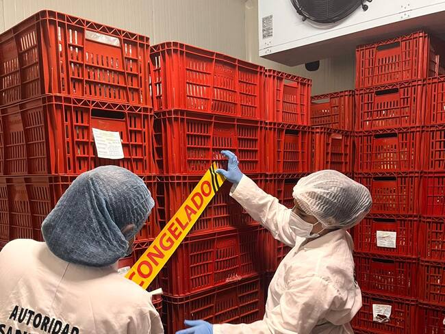 La carne fue destruida