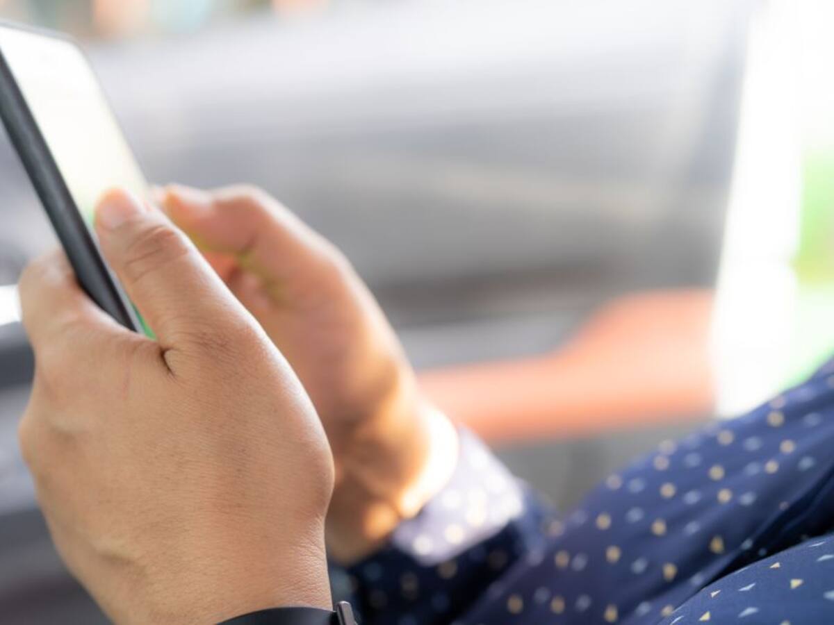 ¿Cuántos camellos valgo?: curiosidades más buscadas en Google en Colombia